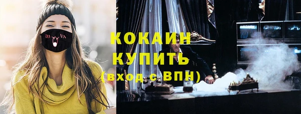 соль ск Алексин
