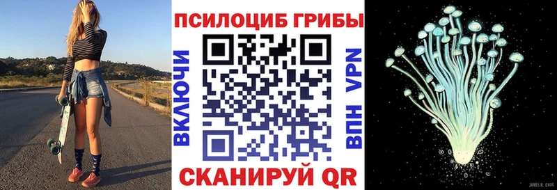 kraken как зайти  Андреаполь  Псилоцибиновые грибы мухоморы 