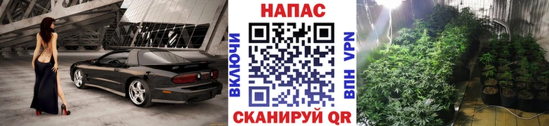 Канабис марихуана  сколько стоит  Андреаполь 